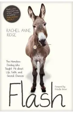 Flash: The Homeless Donkey Who Taught Me about Life, Faith, and Second Chances - Rachel Anne Ridge