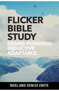 Flicker Bible Study: Desire-powered, Inductive, and Adaptable - Noel Enete