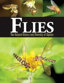 Flies, Hardcover/Stephen Marshall