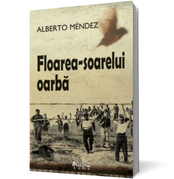 Floarea-soarelui oarba