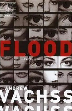 Flood - Andrew Vachss