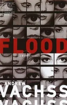 Flood, Paperback/Andrew Vachss