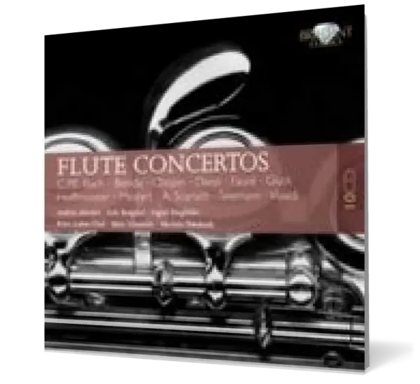 Flute Concertos (10 CD)