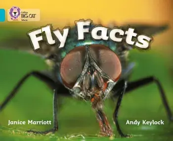 Fly Facts. Band 07/Turquoise, Paperback/Janice Marriott