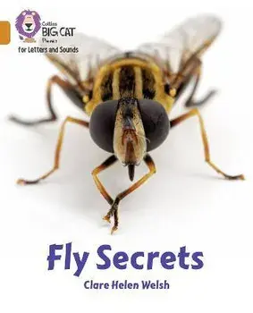 Fly Secrets. Band 06/Orange, Paperback/Clare Helen Welsh
