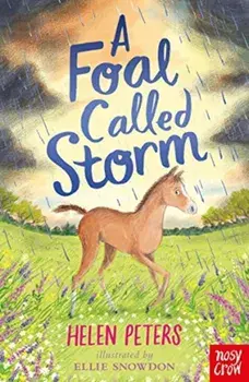 Foal Called Storm, Paperback/Helen Peters