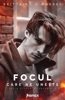 Focul care ne uneste. Seria Elemente. Volumul 2/Brittainy C. Cherry