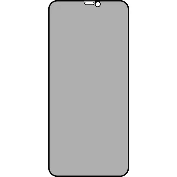 Folie de protectie Ecran Privacy OEM pentru Apple iPhone 11 Pro / XS / X, Sticla Securizata, Full Glue, 5D