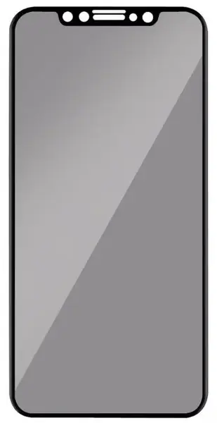 Folie Protectie Sticla Temperata Lemontti Privacy LEMFSP11BK pentru iPhone 11 / XR (Transparent/Negru)