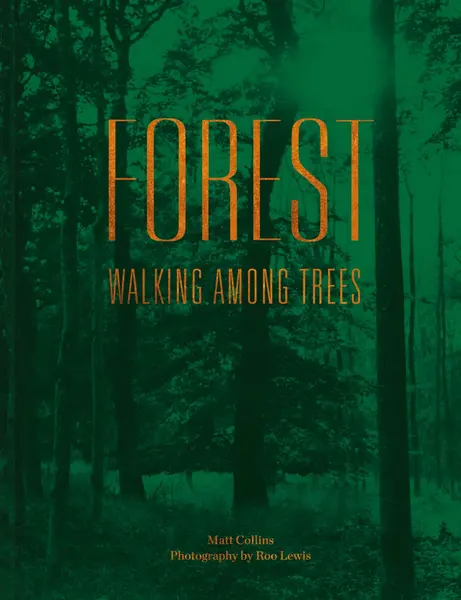 Forest : Walking Among Trees | Matt Collins