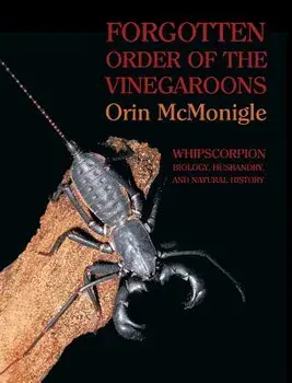 Forgotten Order of the Vinegaroons: Whipscorpion Biology, Husbandry, and Natural History, Hardcover/Orin McMonigle