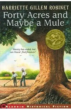 Forty Acres and Maybe a Mule - Harriette Gillem Robinet