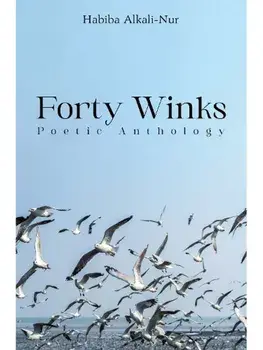 Forty Winks: Poetic Anthology, Paperback/Habiba Alkali-Nur