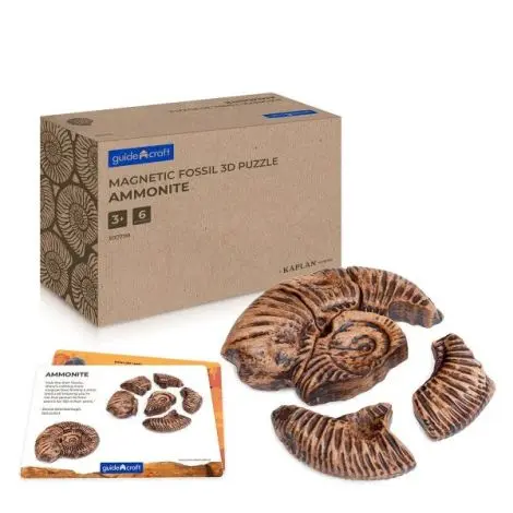 Fosile Ammonite, set magnetic 3D, Guidecraft