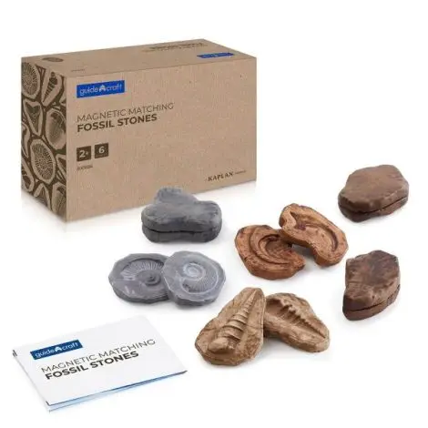 Fosile magnetice, set 6 perechi, Guidecraft