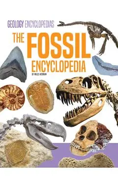 Fossil Encyclopedia - Miles Herman