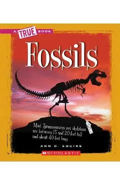 Fossils - Ann O. Squire
