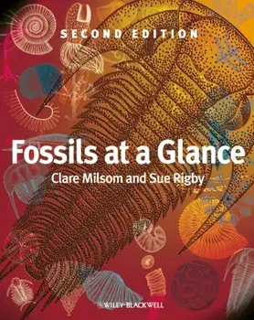 Fossils at a Glance, Paperback/Sue Rigby