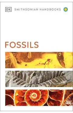 Fossils - Dk