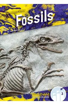 Fossils - Julie Murray