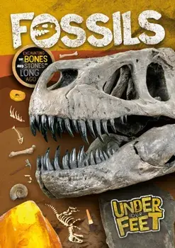 Fossils, Paperback/Kirsty Holmes