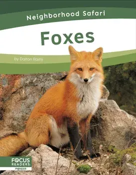 Foxes, Paperback/Dalton Rains