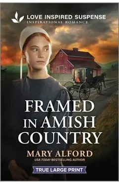 Framed in Amish Country - Mary Alford