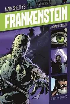 Frankenstein, Paperback/Mary Shelley