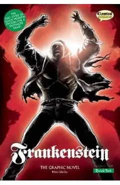Frankenstein: The Graphic Novel - Mary Shelley