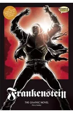 Frankenstein the Graphic Novel: Original Text - Mary Shelley