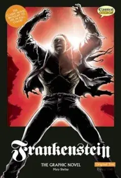 Frankenstein: The Graphic Novel, Paperback/Mary Shelley