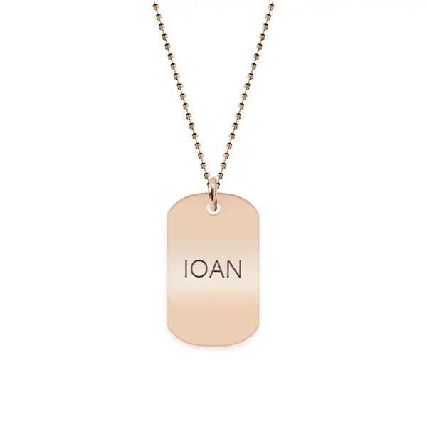 Freedom - Colier din argint 925 placat cu aur roz dog tag personalizat
