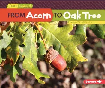 From Acorn to Oak Tree, Paperback/Emma Carlson Berne