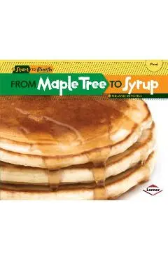 From Maple Tree to Syrup - Melanie Mitchell