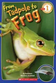 From Tadpole to Frog, Paperback/Kathleen Weidner Zoehfeld