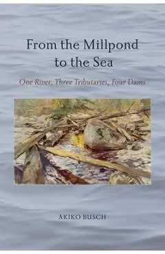 From the Millpond to the Sea: One River, Three Tributaries, Four Dams - Akiko Busch