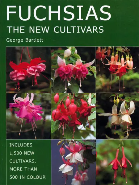 Fuchsias | George Bartlett
