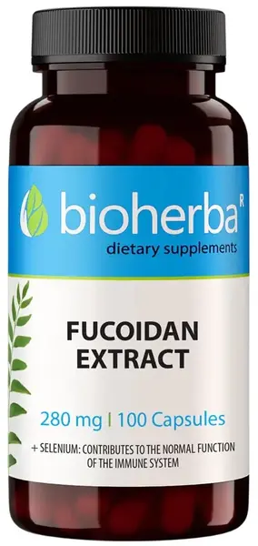 Fucoidan Extract, 280 mg, 100 capsule, Bioherba