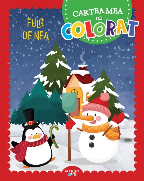Fulg de nea. Cartea mea de colorat