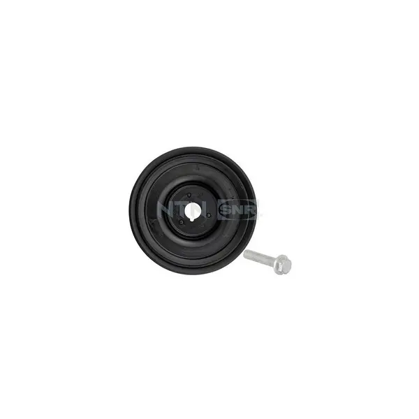 Fulie curea, arbore cotit SNR DPF355.25K1