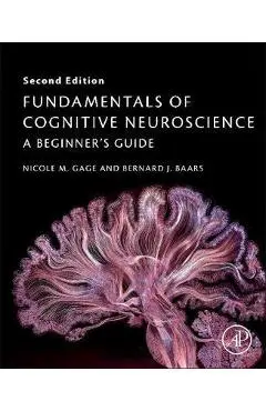 Fundamentals of Cognitive Neuroscience