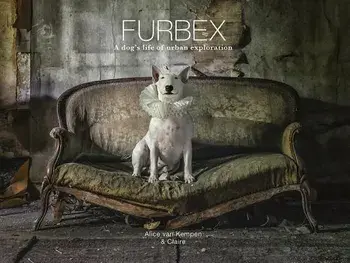 Furbex: A Dog's Life of Urban Exploration, Hardcover/Alice Van Kempen