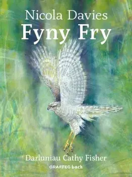 Fyny Fry, Paperback/Nicola Davies