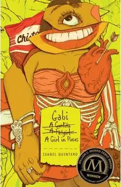 Gabi, a Girl in Pieces - Isabel Quintero