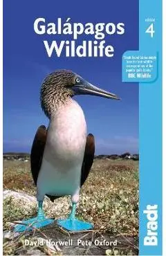 Galapagos Wildlife - David Horwell