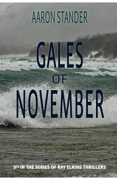 Gales of November: A Ray Elkins Thriller - Aaron Stander