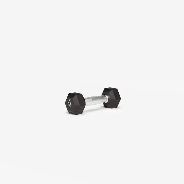 Ganteră de crosstraining și bodybuilding Dumbbell hexagonală 2,5 kg, negru