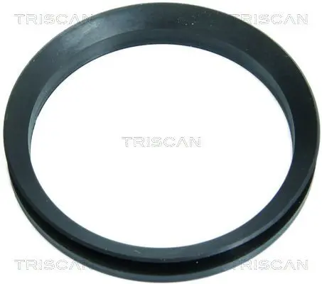 garnit.etansare, lagar axial sprijin arc TRISCAN 8500 10814
