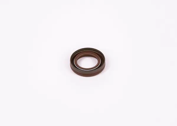 Garnitura BOSCH F 01M 100 984