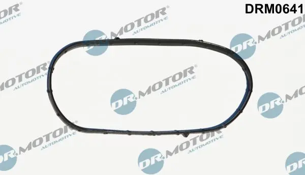 Garnitura capac, distributie Dr.Motor Automotive DRM0641